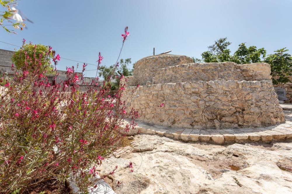 圣伊西多罗Trullo Santovia住宿加早餐旅馆 外观 照片